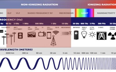 The 4 Types of EMF’s