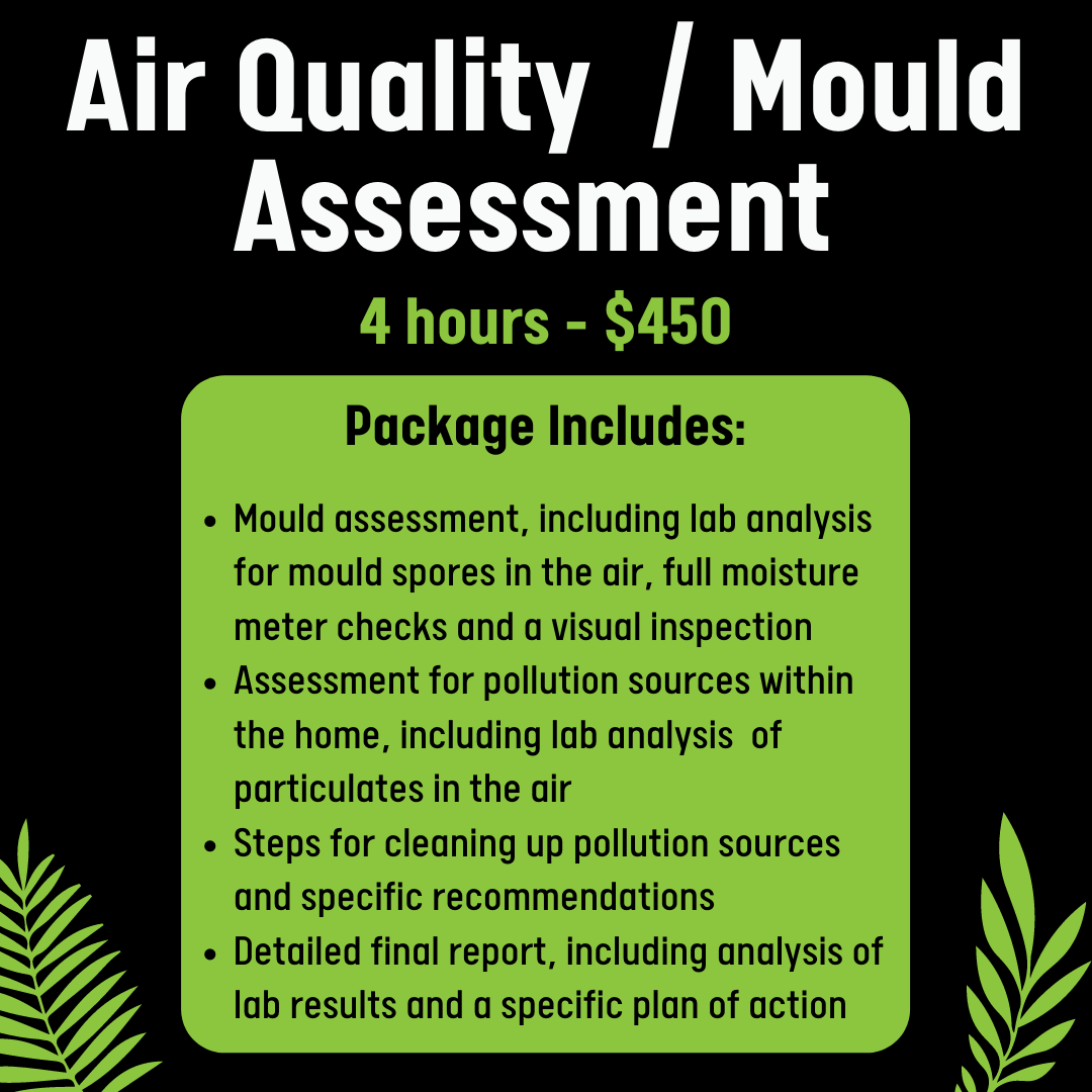 Air Quality / Mould Assessment