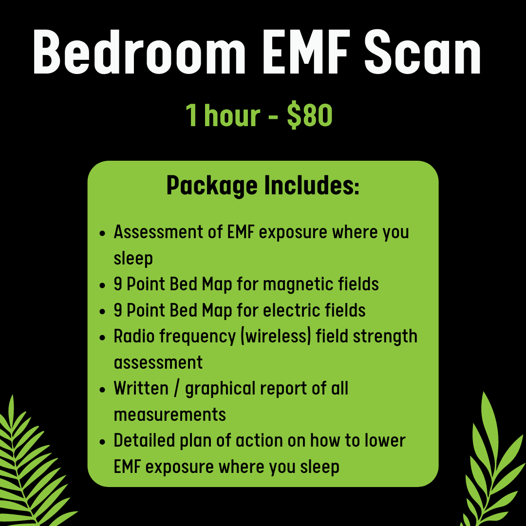 Bedroom EMF Scan