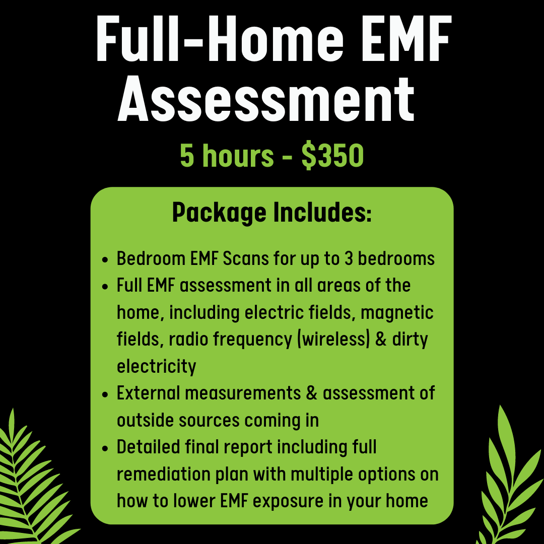 Full Home EMF Assessment